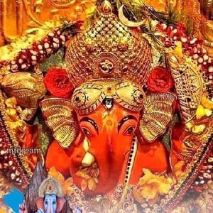 Meet your Posher, Amita